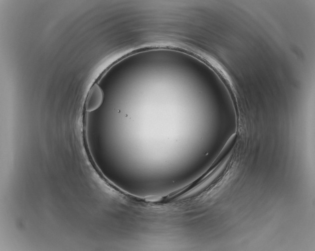 X0000115690951200911121305