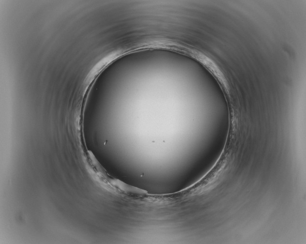 X0000115690954200911121305