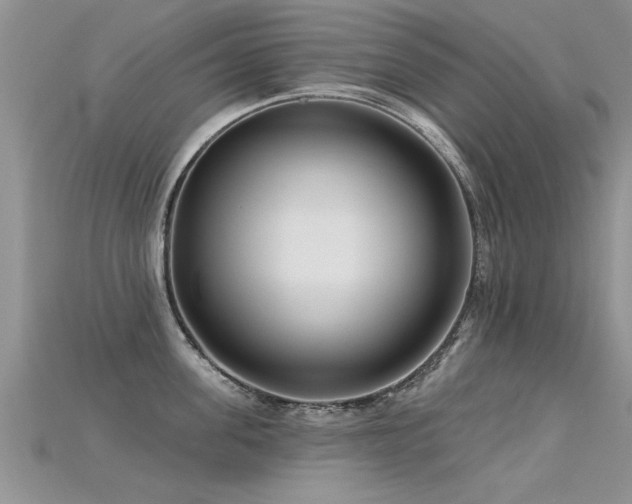 X0000115690955200911121305