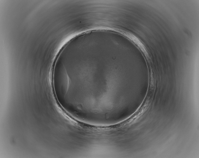 X0000115690958200911121305