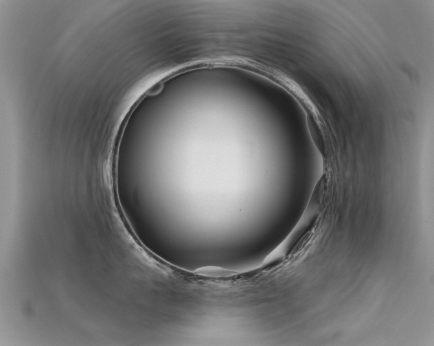 X0000115690959200911121305