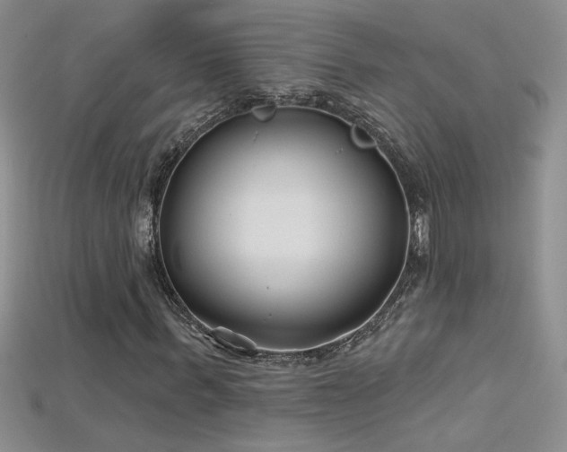 X0000115690963200911121304