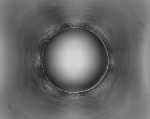 X0000115690964200911121304