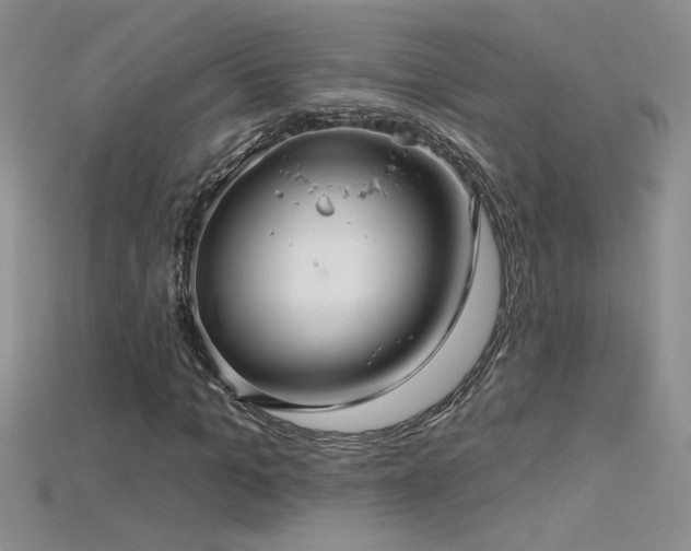 X0000115690965200911121304