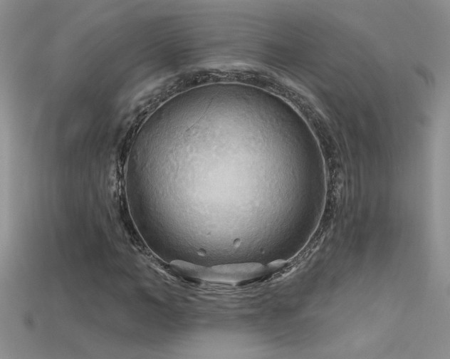 X0000115690966200911121304