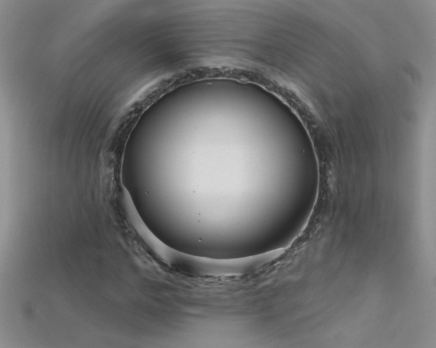 X0000115690968200911121304