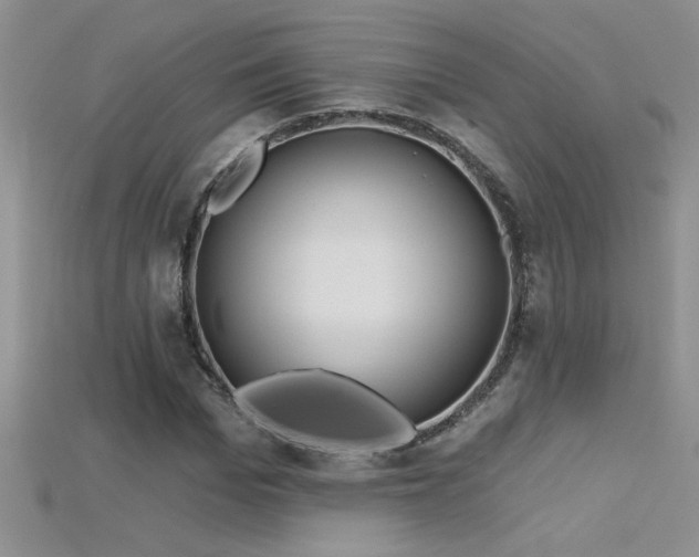X0000115690969200911121304