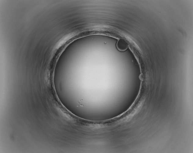 X0000115690970200911121304