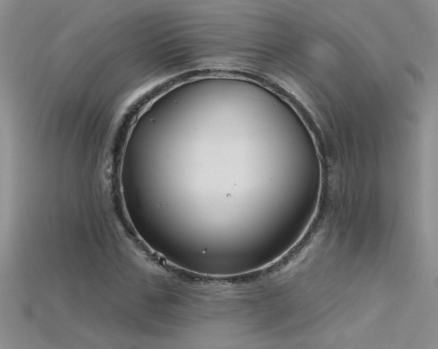 X0000115690971200911121304