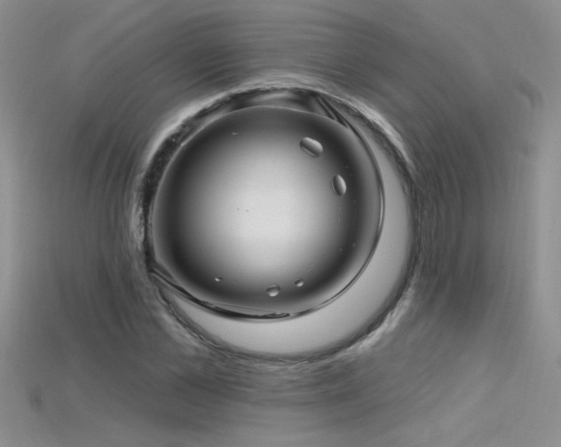 X0000115690973200911121304