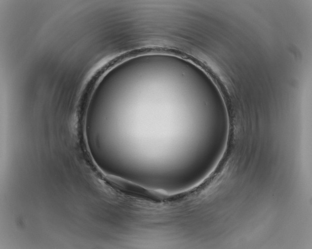 X0000115690975200911121304