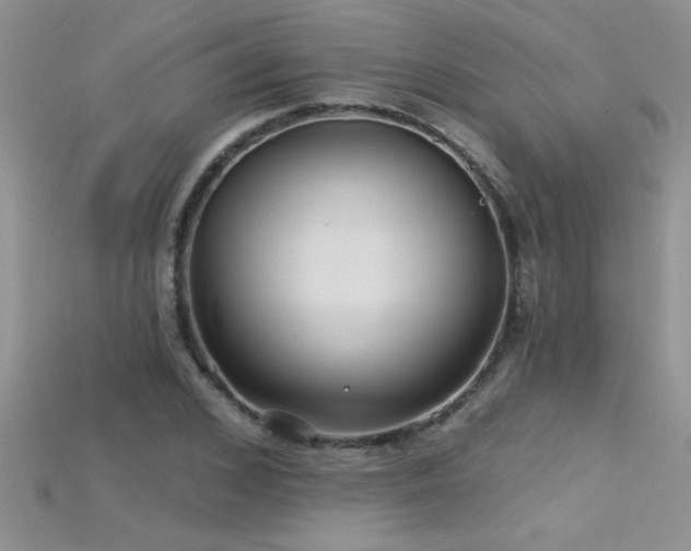 X0000115690976200911121304