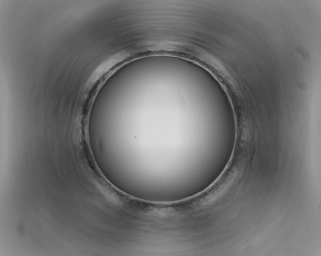 X0000115690978200911121304