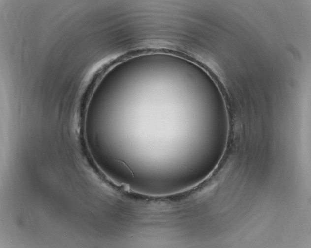 X0000115690979200911121304