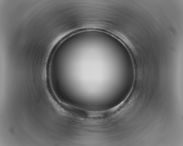 X0000115690980200911121304