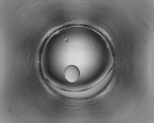 X0000115690981200911121304