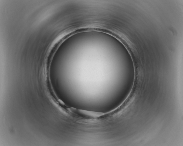 X0000115690982200911121304