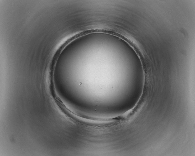 X0000115690983200911121304