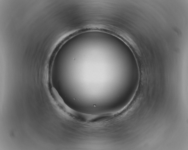 X0000115690984200911121304
