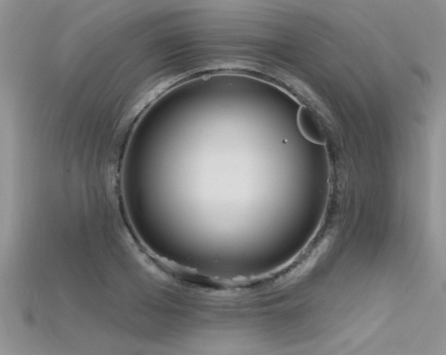 X0000115690985200911121304