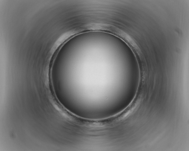 X0000115690986200911121304