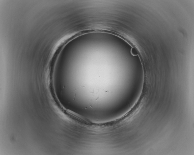 X0000115690987200911121304