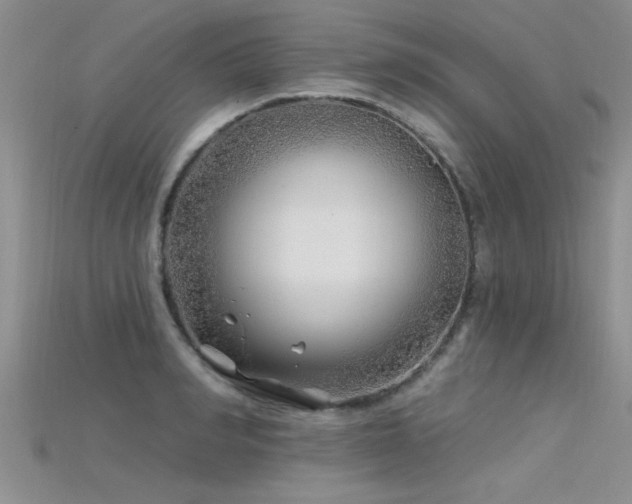 X0000115690990200911121304
