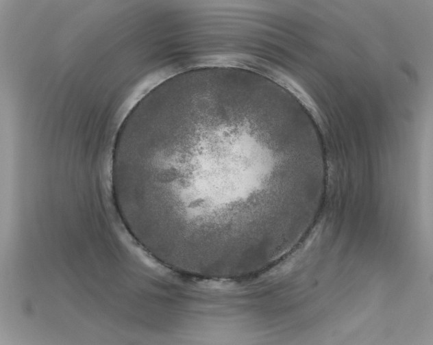 X0000115690994200911121304