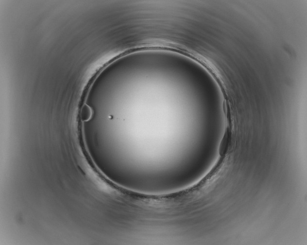 X0000115690995200911121304