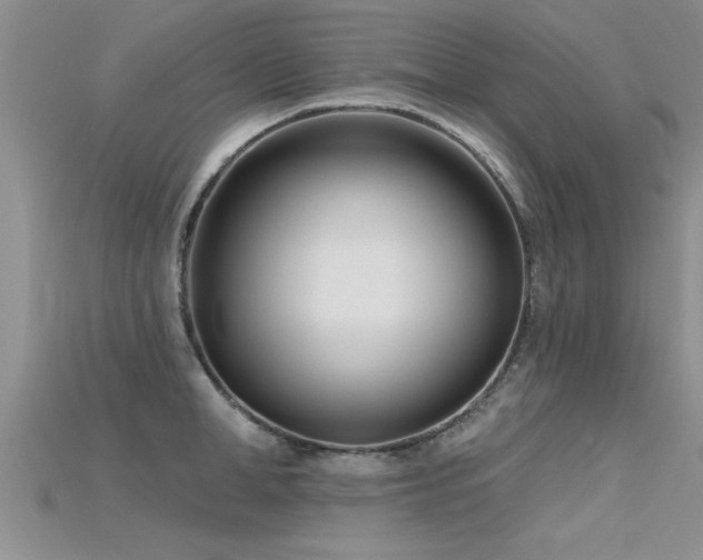 X0000115690998200911121304