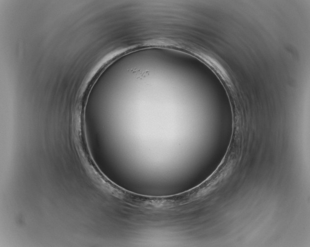 X0000115691000200911121304