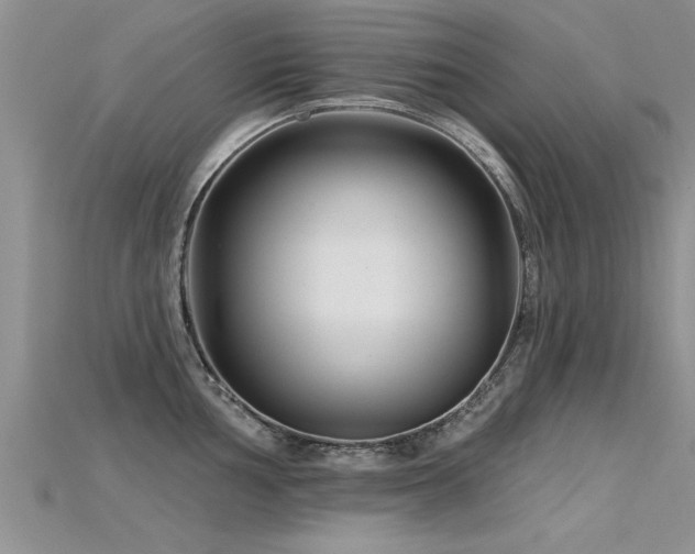 X0000115691002200911121304