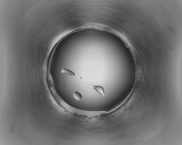 X0000115691003200911121304