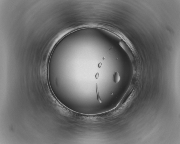 X0000115691004200911121304