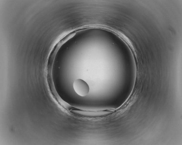 X0000115691005200911121304