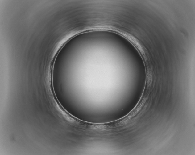 X0000115691006200911121304