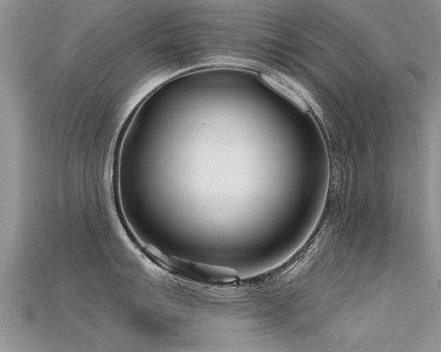 X0000115691007200911121304