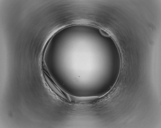 X0000115691008200911121304