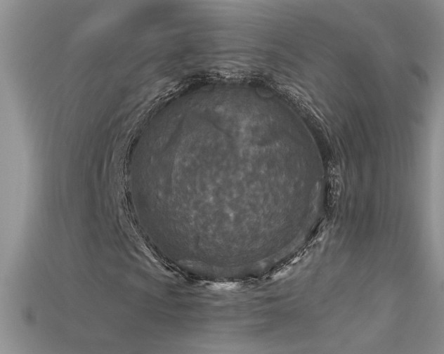 X0000115691009200911121303