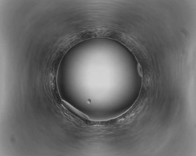 X0000115691010200911121303