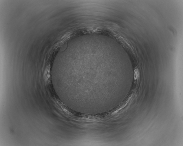 X0000115691011200911121303