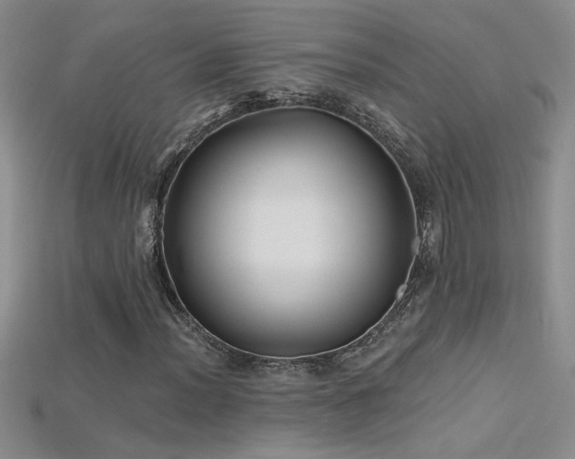 X0000115691012200911121303