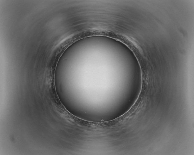 X0000115691015200911121303