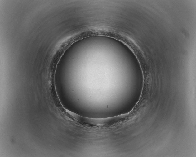 X0000115691016200911121303