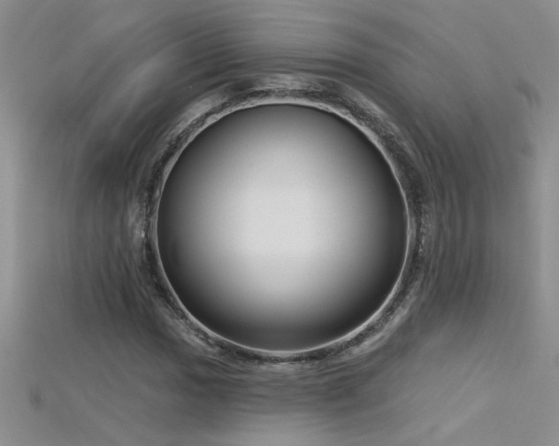 X0000115691017200911121303