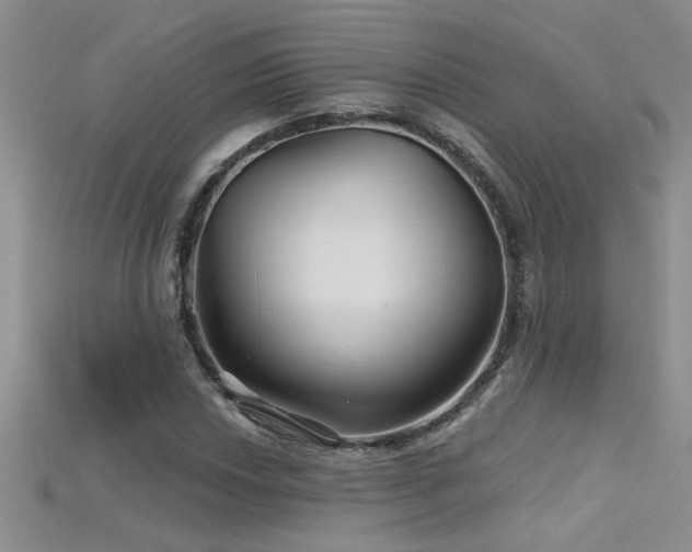 X0000115691018200911121303