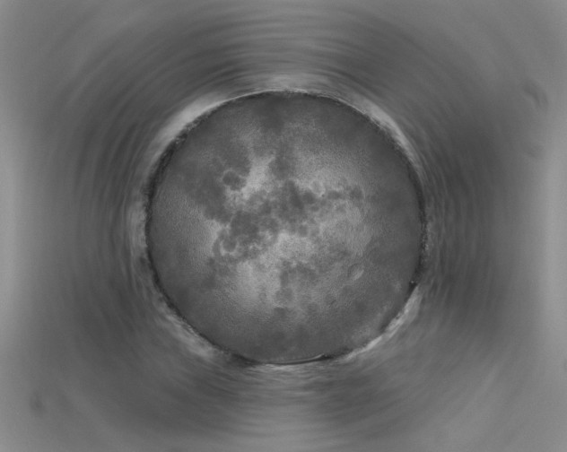 X0000115691019200911121303