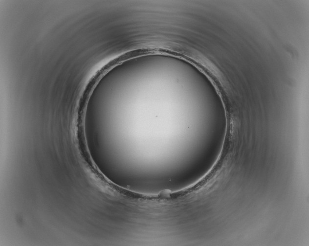 X0000115691020200911121303