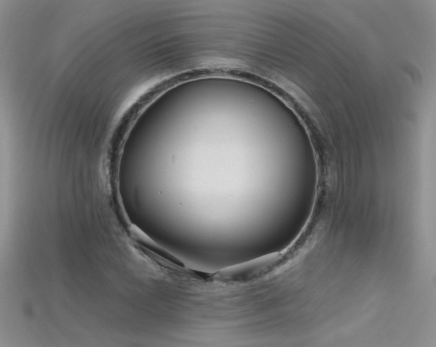 X0000115691022200911121303