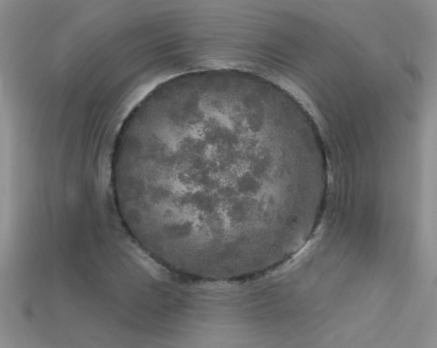X0000115691023200911121303